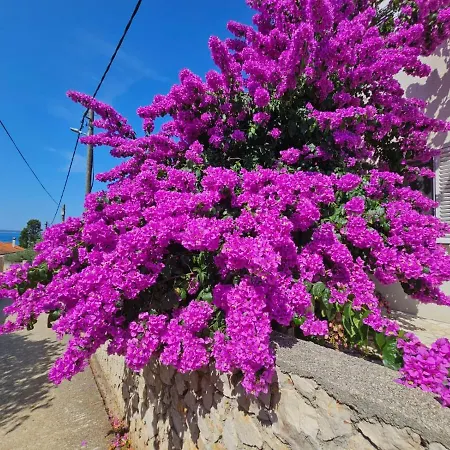 Belvedere Apartman Silba